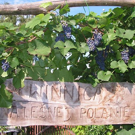 Winnica Na Lesnej Polanie Zabor Dış mekan fotoğraf